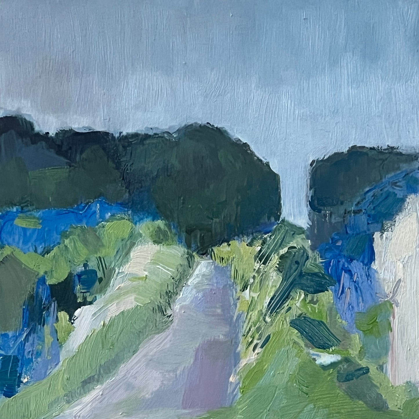 Woodland view