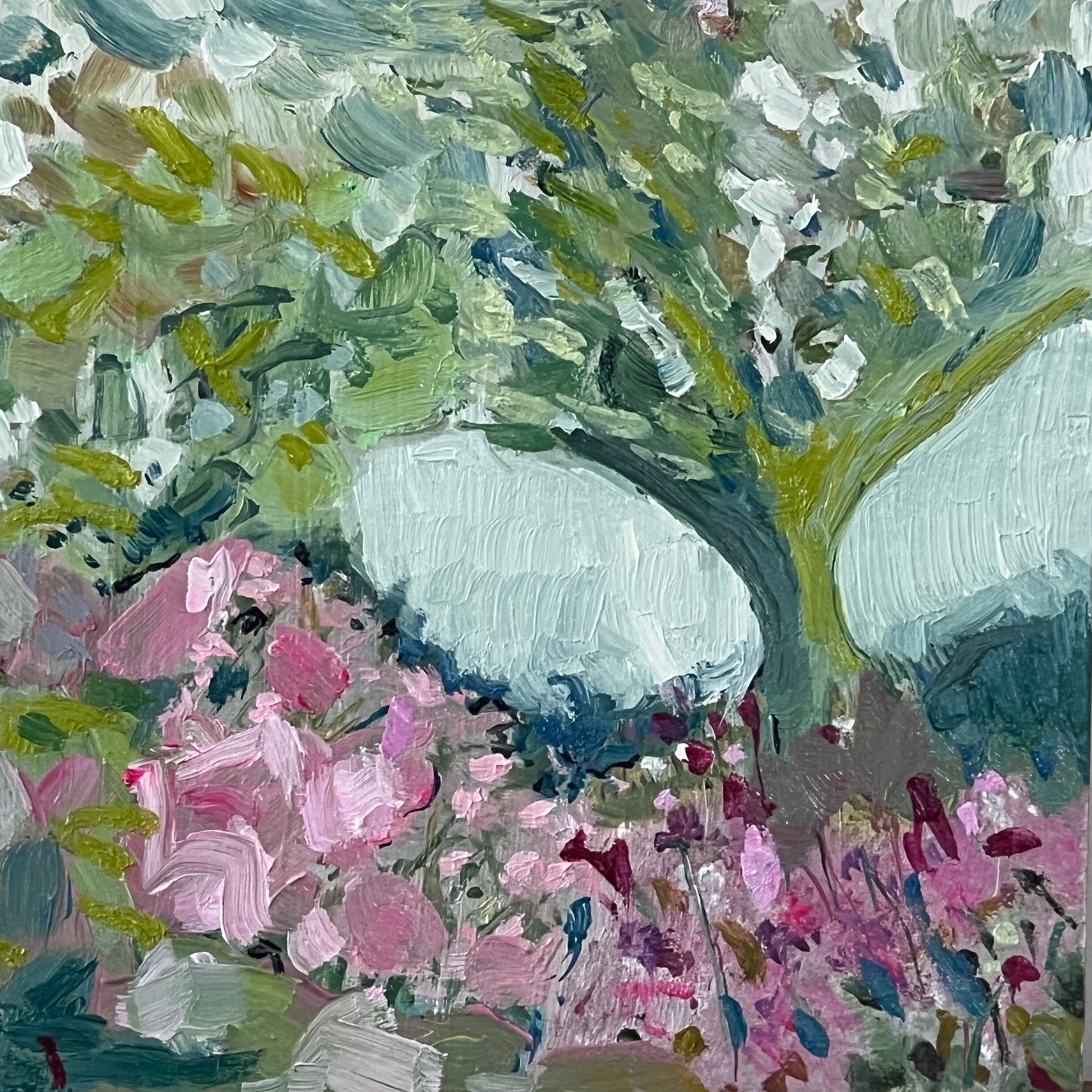 Spring meadow