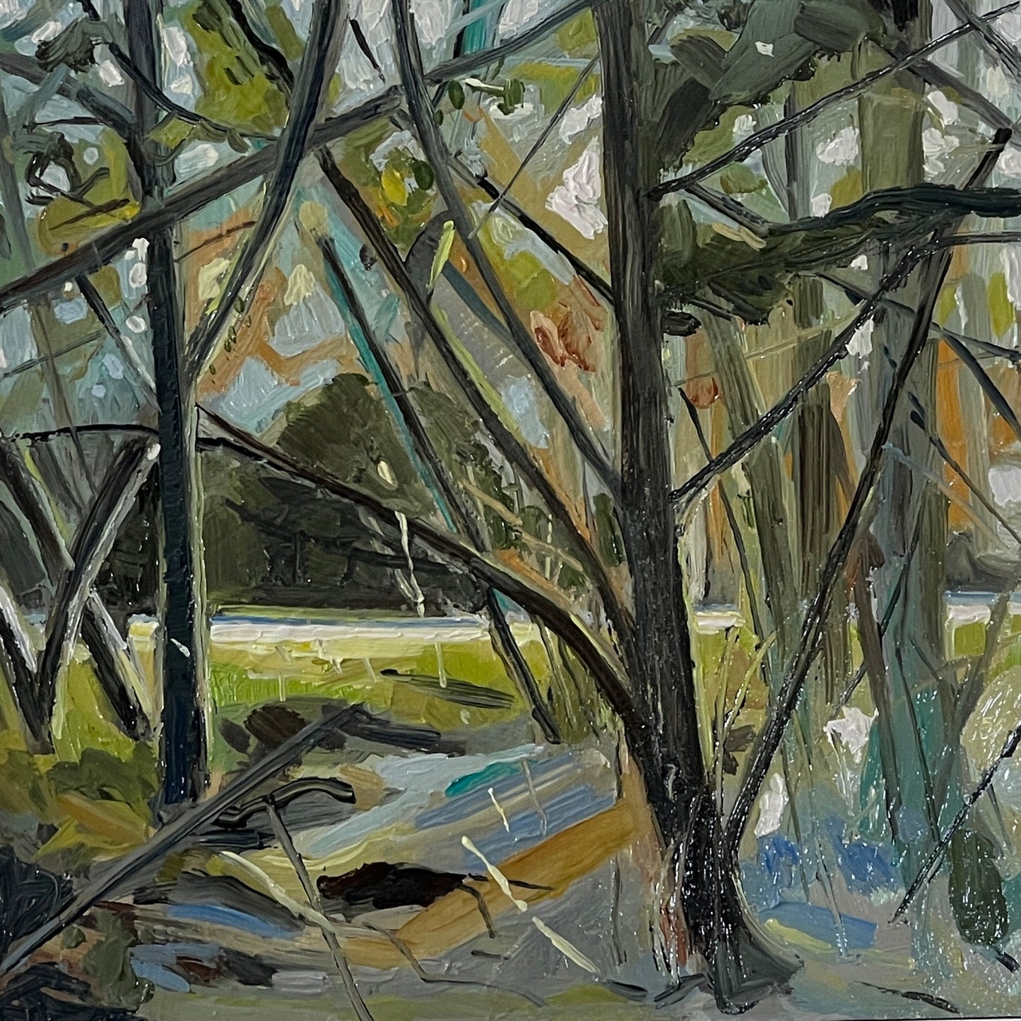 Between the trees